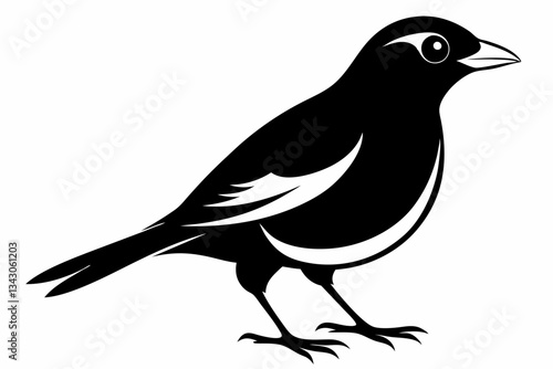 myna bird line art silhouette vector illustration