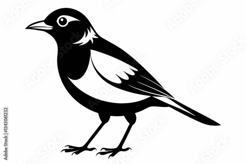 myna bird line art silhouette vector illustration