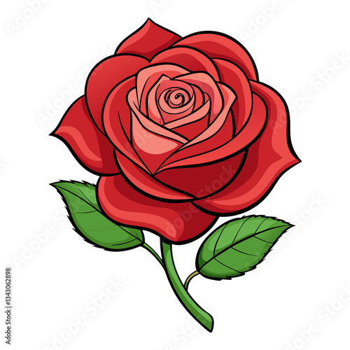 red rose no background