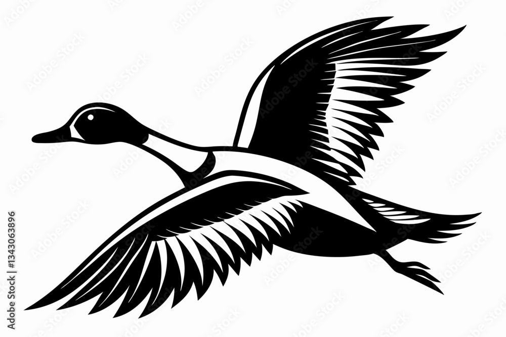 Fototapeta premium pintail duck flying line art silhouette vector illustration