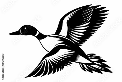 pintail duck flying line art silhouette vector illustration
