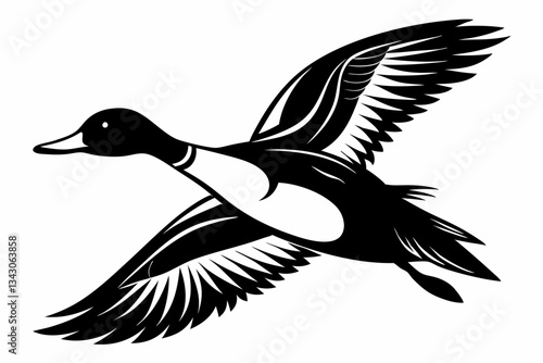 pintail duck flying line art silhouette vector illustration