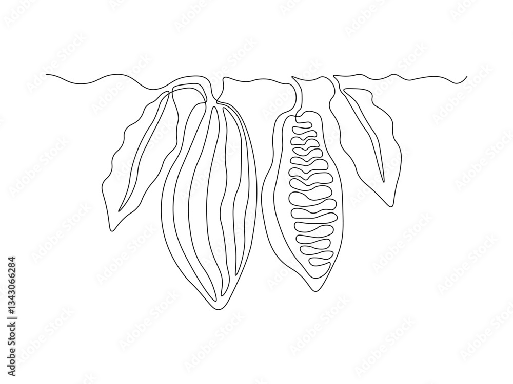 Obraz premium Cocoa beans on a branch, continuous single one line art hand drawing sketch logo