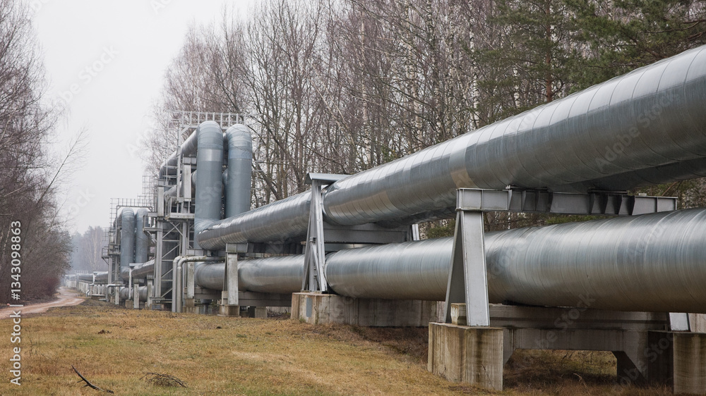 pipeline line against grey sky and forest pipeline line against grey sky and forest