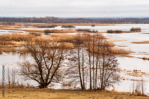 Wiosenne rozlewiska rzeki Biebrzy, Podlasie, Polska