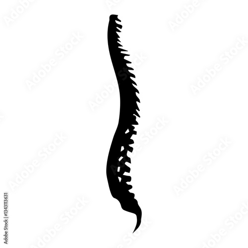 Spine lateral glyph icon