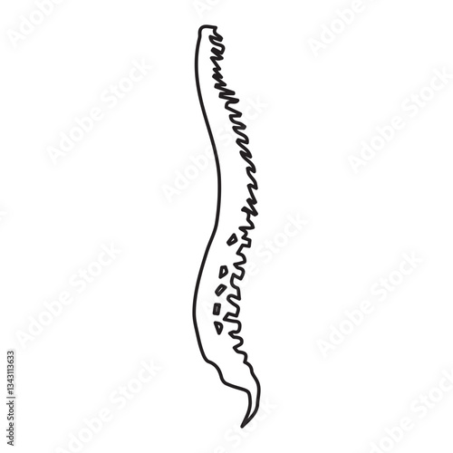 Spine lateral line icon