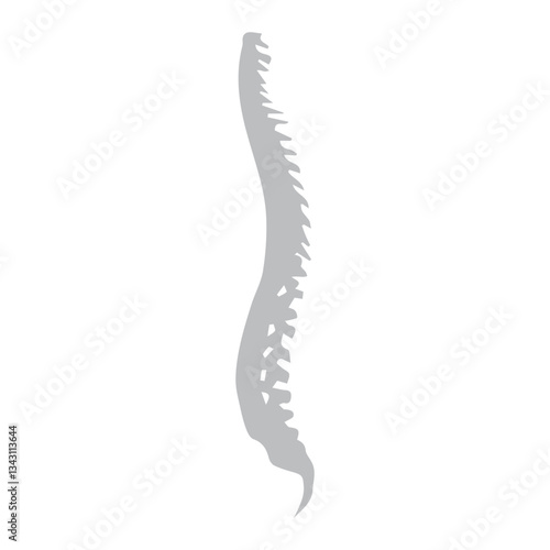 Spine lateral icon