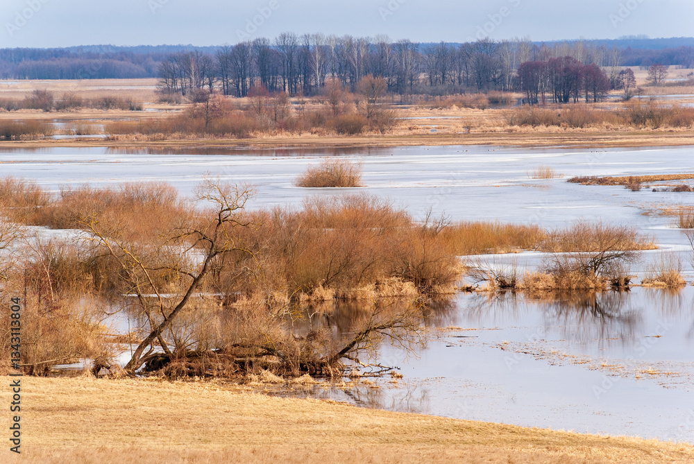 Wiosenne rozlewiska rzeki Biebrzy, Podlasie, Polska