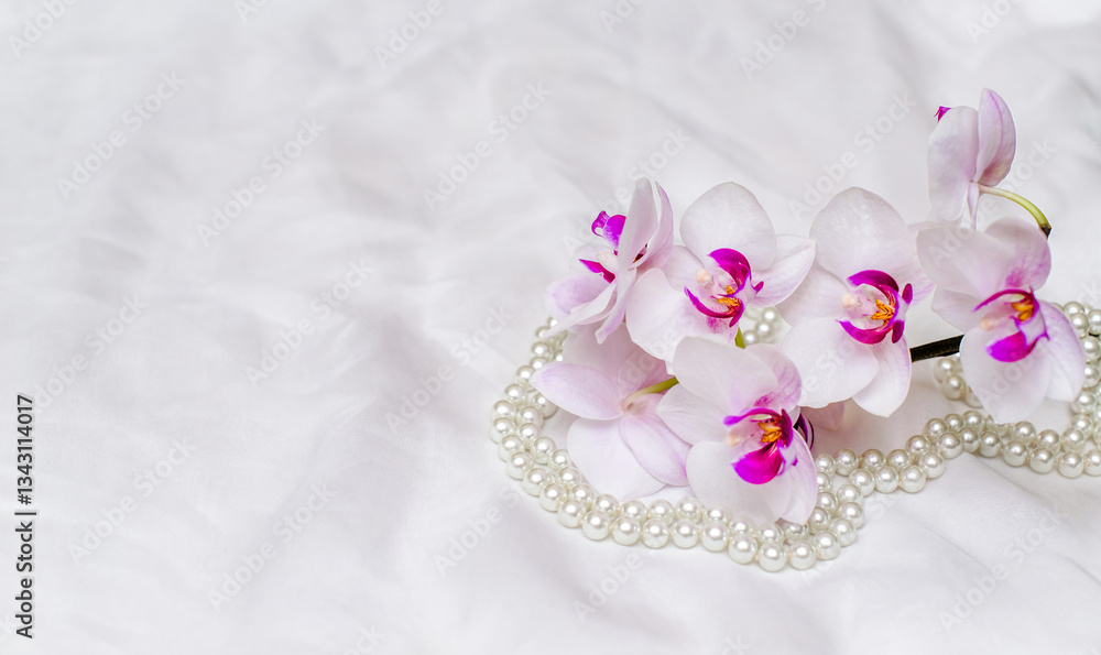 The branch of white orchids on white fabric background
The branch of white orchids on white fabric background