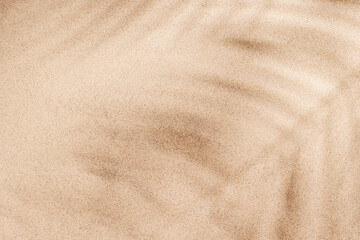 A tropical summer background featuring soft beach sand with delicate palm leaf shadows