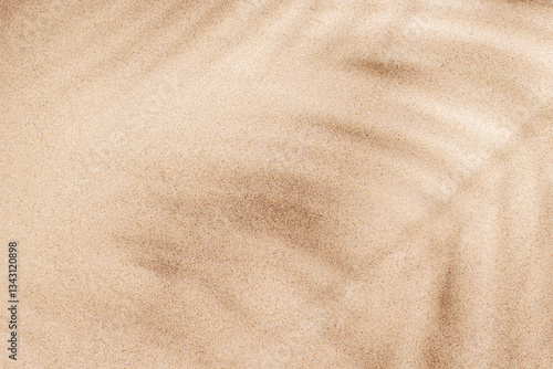 Fototapeta Naklejka Na Ścianę i Meble -  A tropical summer background featuring soft beach sand with delicate palm leaf shadows