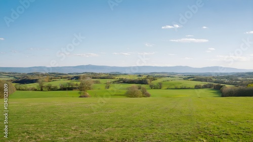 Expansive green fields, dotted with trees, under a blue sky. The landscape evokes peace and tranquility. Alternative text intended for use as alt-text.