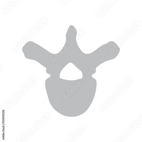 thoracic vertebra icon