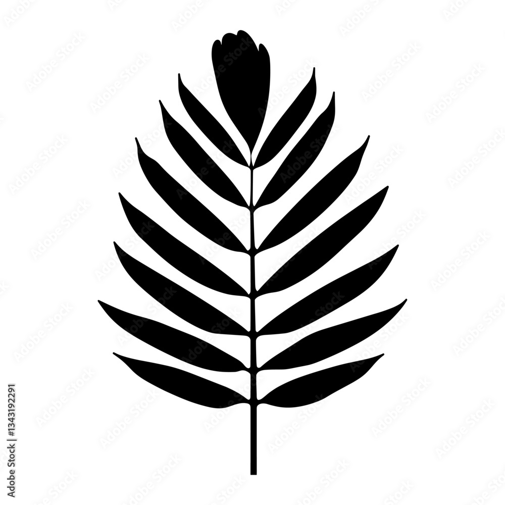 Palm Leaf silhouette leaf illustration vector Palm Leaf silhouette leaf illustration vector