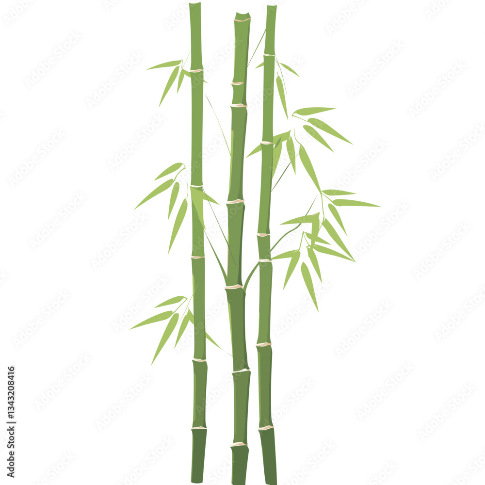 Obraz premium Bamboo tree illustration plant style vector