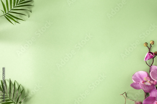 Minimal abstract background with a shadow of tropical palm leaves on a green background.