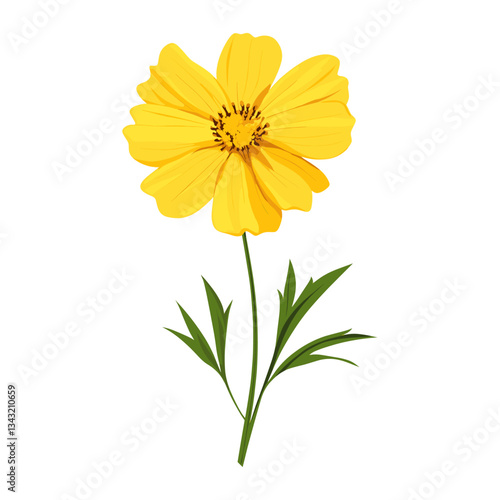 A Coreopsis wildflower clip art illustration design asteraceae vector