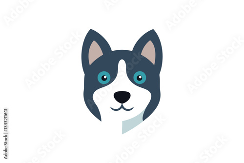 border collie puppy