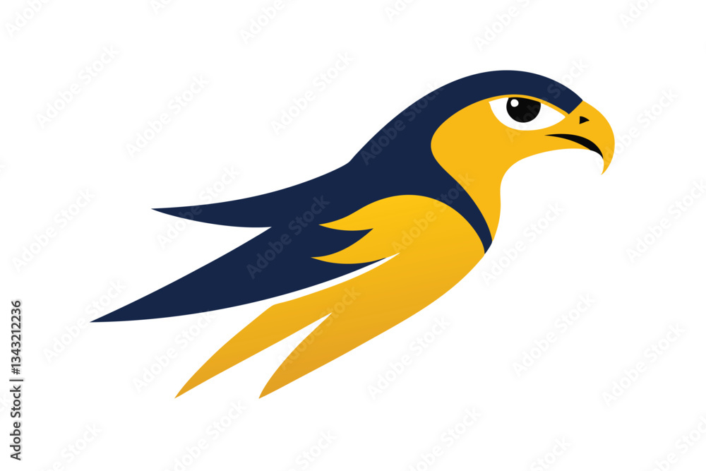 Fototapeta premium bird of prey