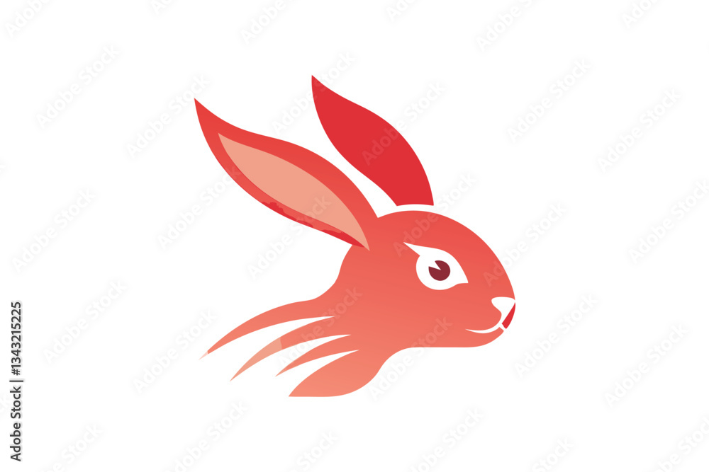 rabbit isolated on white rabbit isolated on white