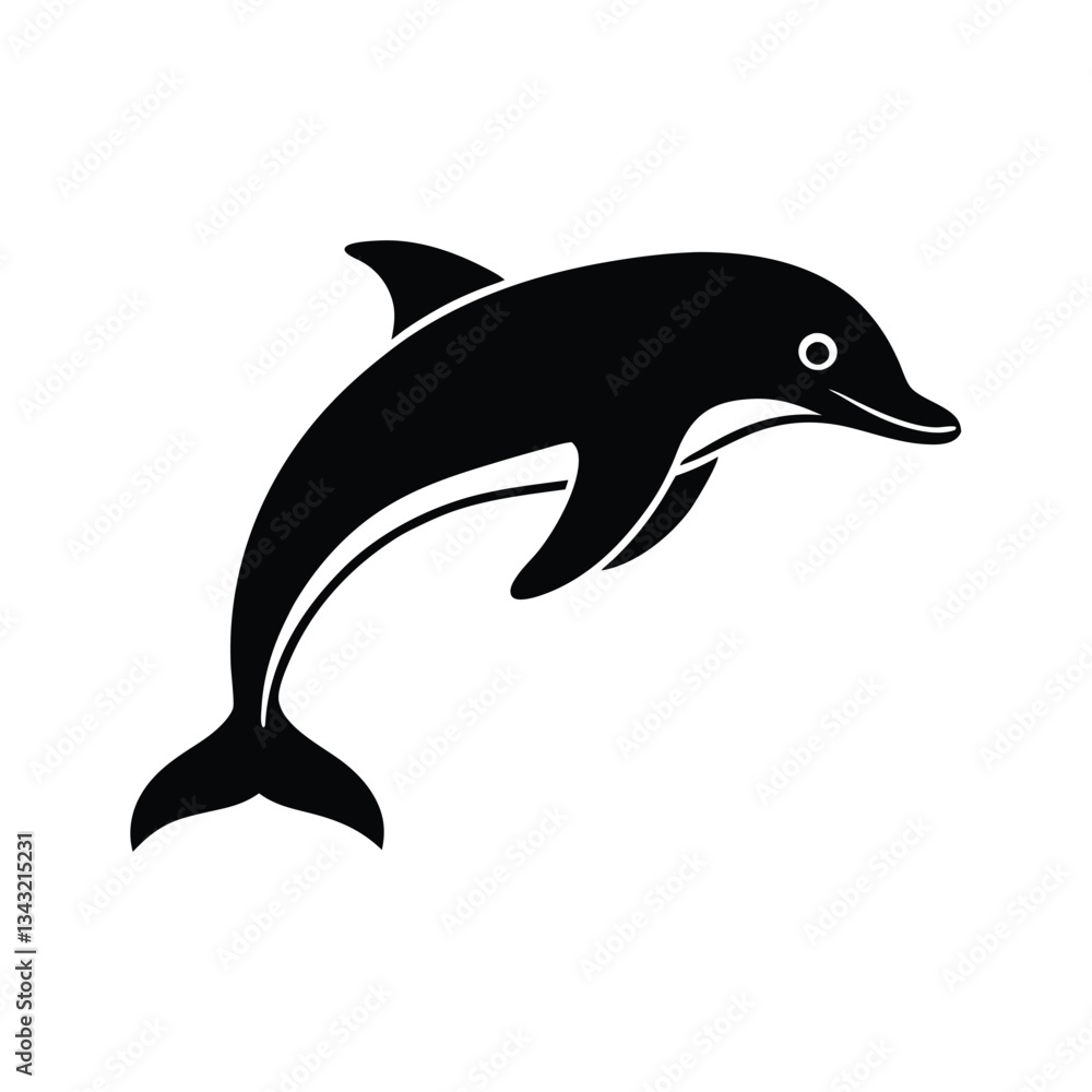 dolphin isolated on white background dolphin isolated on white background