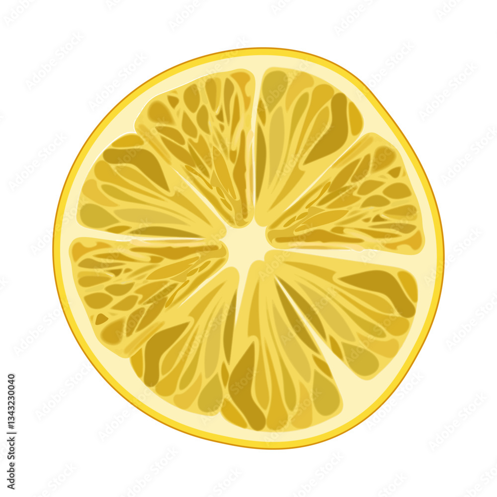 Lemon slice on a white background. Vector illustration. Lemon slice on a white background. Vector illustration.