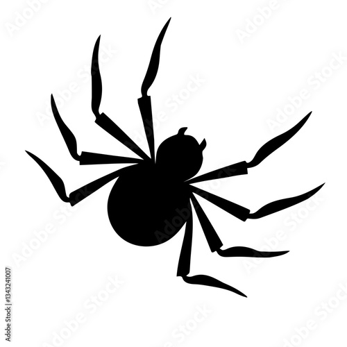 black spider on white background
