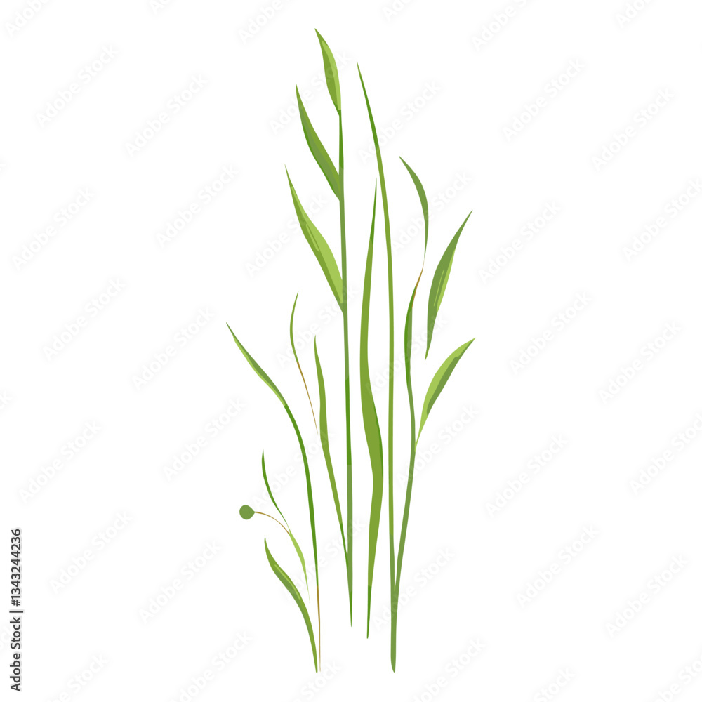 Flat vector of green grass plant leaf art vector Flat vector of green grass plant leaf art vector