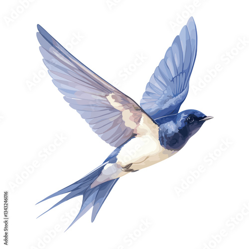 Swallow swallow illustration watercolor vector