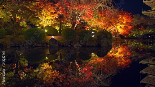京都　ライトアップされた東寺の五重塔と紅葉