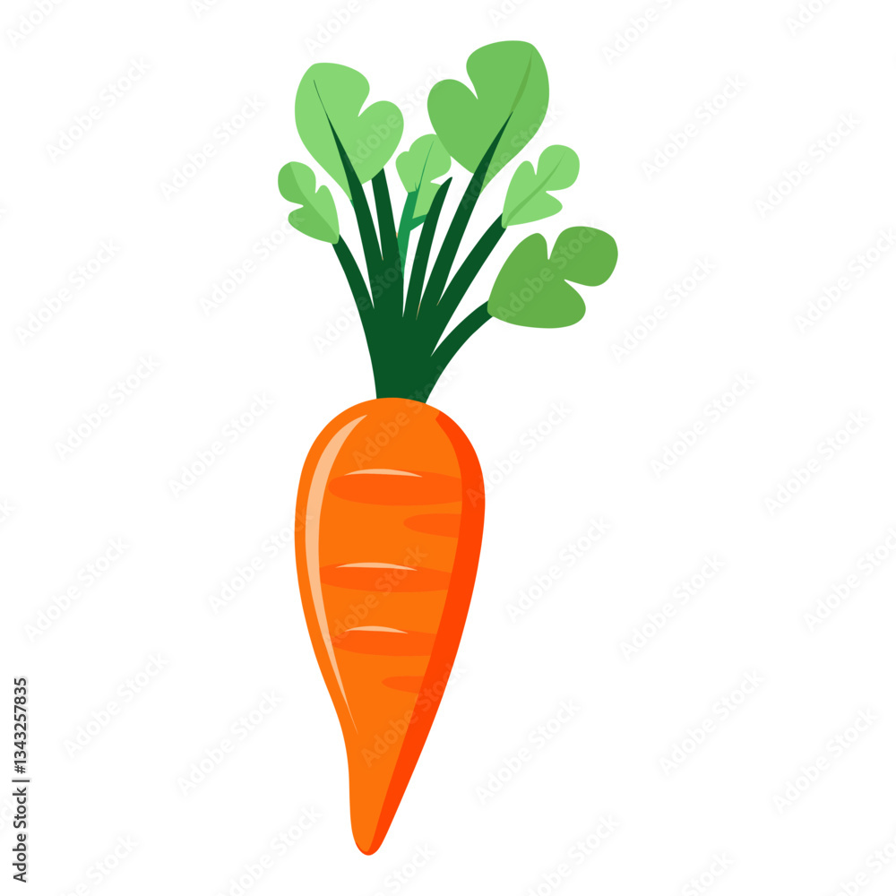 One carrot vector illustration vegetable produce vector One carrot vector illustration vegetable produce vector