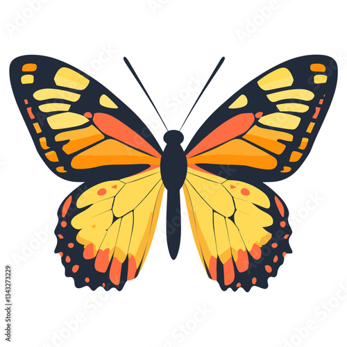 Butterfly illustration insect art vector