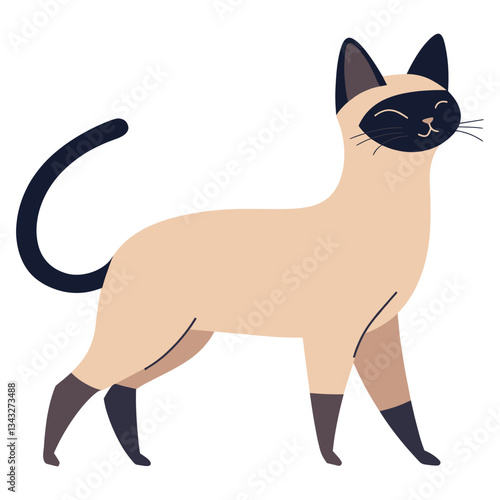 Siamese cat siamese illustration animal vector
