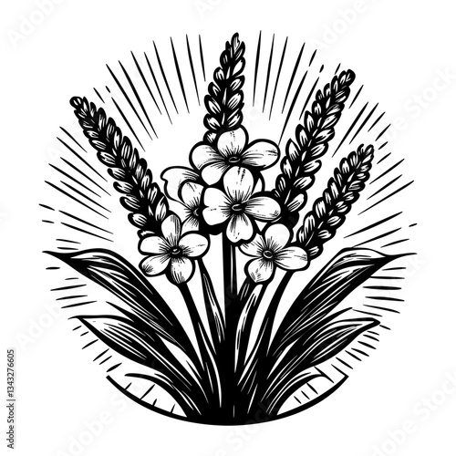 Floriculture farm illustration flowers plants vector