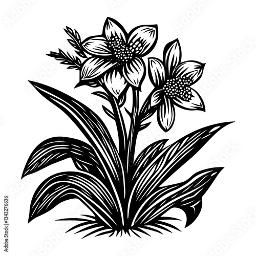 Floriculture farm illustration drawing flower vector