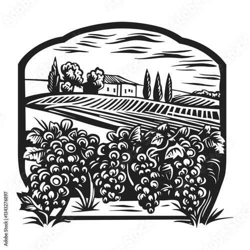 Vineyard illustration vineyard design vector
