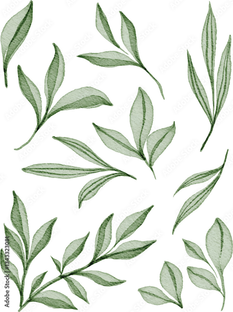 Fototapeta premium green leaves collections