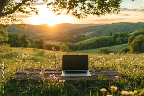 A unique scene of a laptop ...
