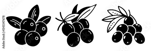 acai berry icon, acai berry silhouette vector illustration-simple silhouette illustration of acai berry, perfect for acai berry logos and icons