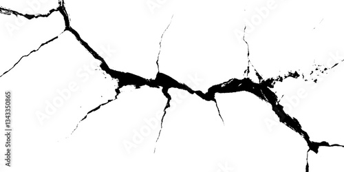 Intricate patterns emerge from broken surfaces revealing nature’s artistry in unexpected forms