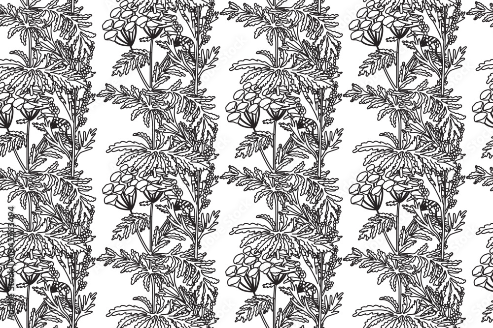 Fototapeta premium Line art botanical seamless plant pattern with flowers vector illustration. Black outline repeating floral pattern in white background. Graphic design for Fashion Cover Textile Coloring Page Birthday