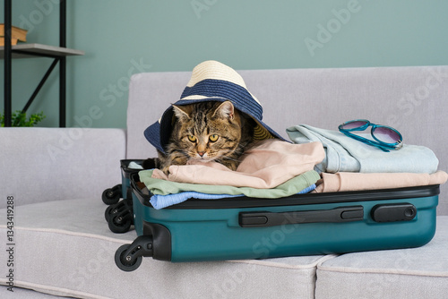 The cat is sitting on a suitcase with summer clothes. The concept of traveling with pets