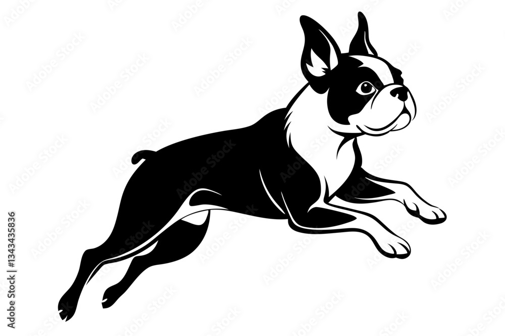 boston terrier dog jump line art silhouette vector illustration boston terrier dog jump line art silhouette vector illustration
