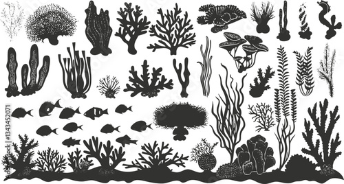 Silhouette collection of marine corals and fish in underwater scene