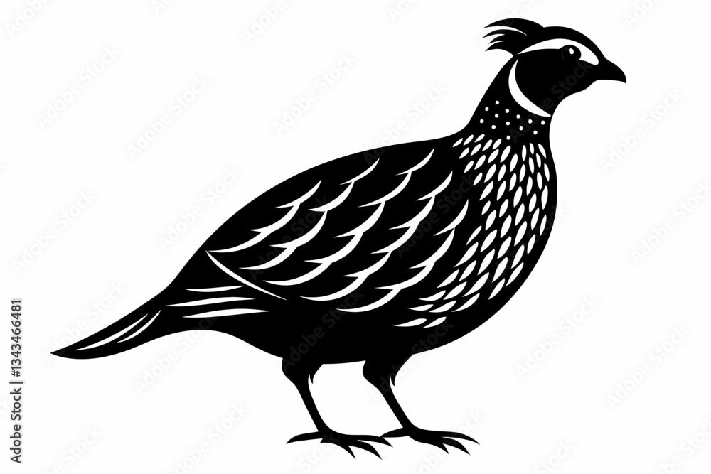 Fototapeta premium northern bobwhite line art silhouette vector illustration