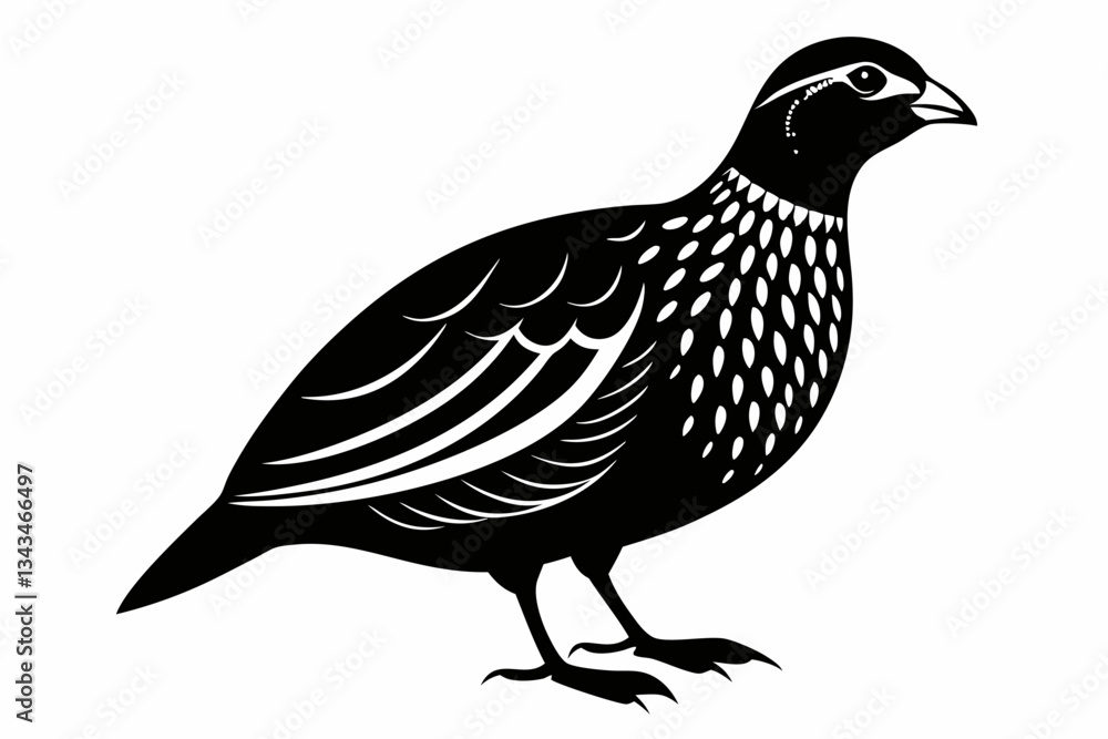 Fototapeta premium northern bobwhite line art silhouette vector illustration
