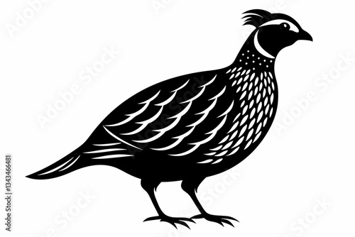 northern bobwhite line art silhouette vector illustration