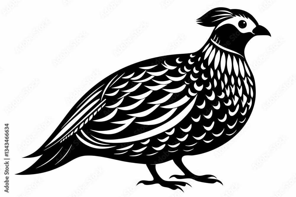 Fototapeta premium northern bobwhite line art silhouette vector illustration