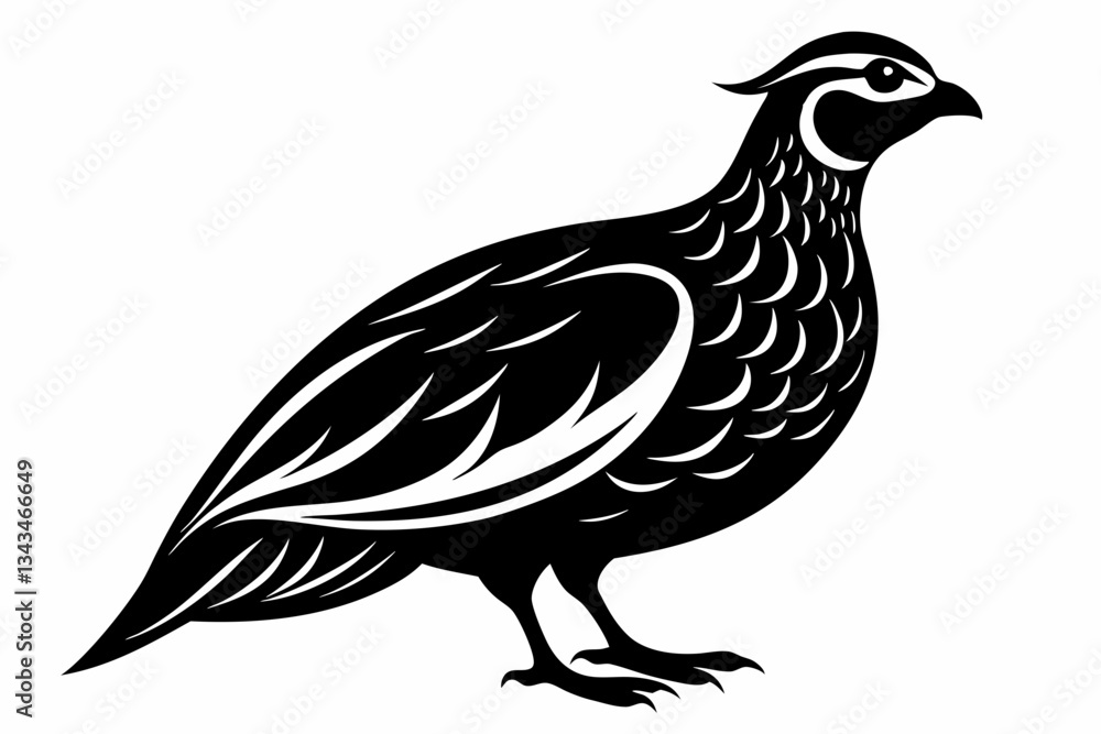 Fototapeta premium northern bobwhite line art silhouette vector illustration